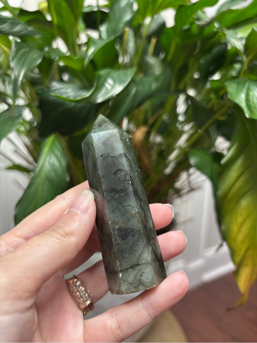 Labradorite Crystal Point - Iridescent Gray-Green - Picture 2 of 3